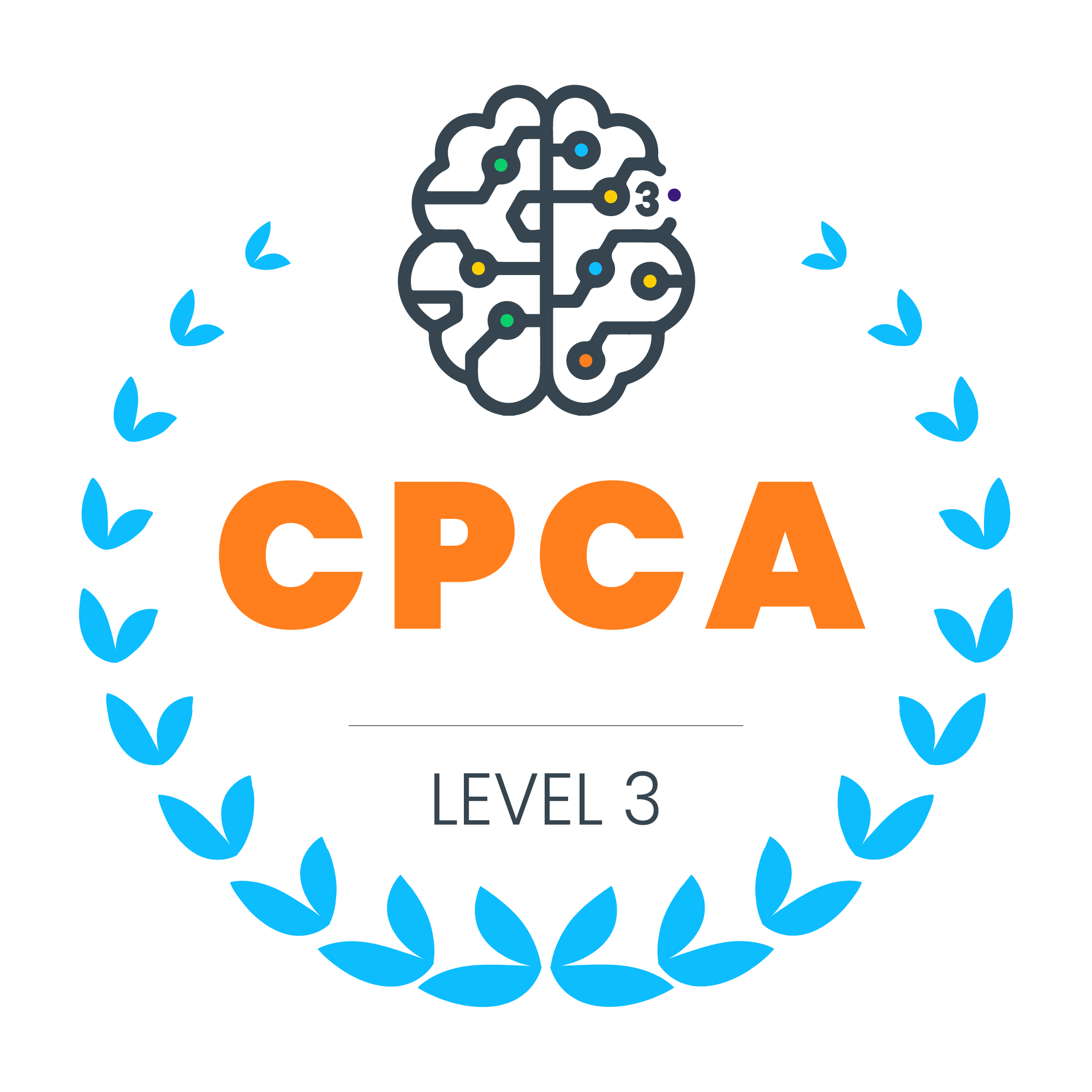 CPCA, Level 3, Australian Professional Counsellors Association