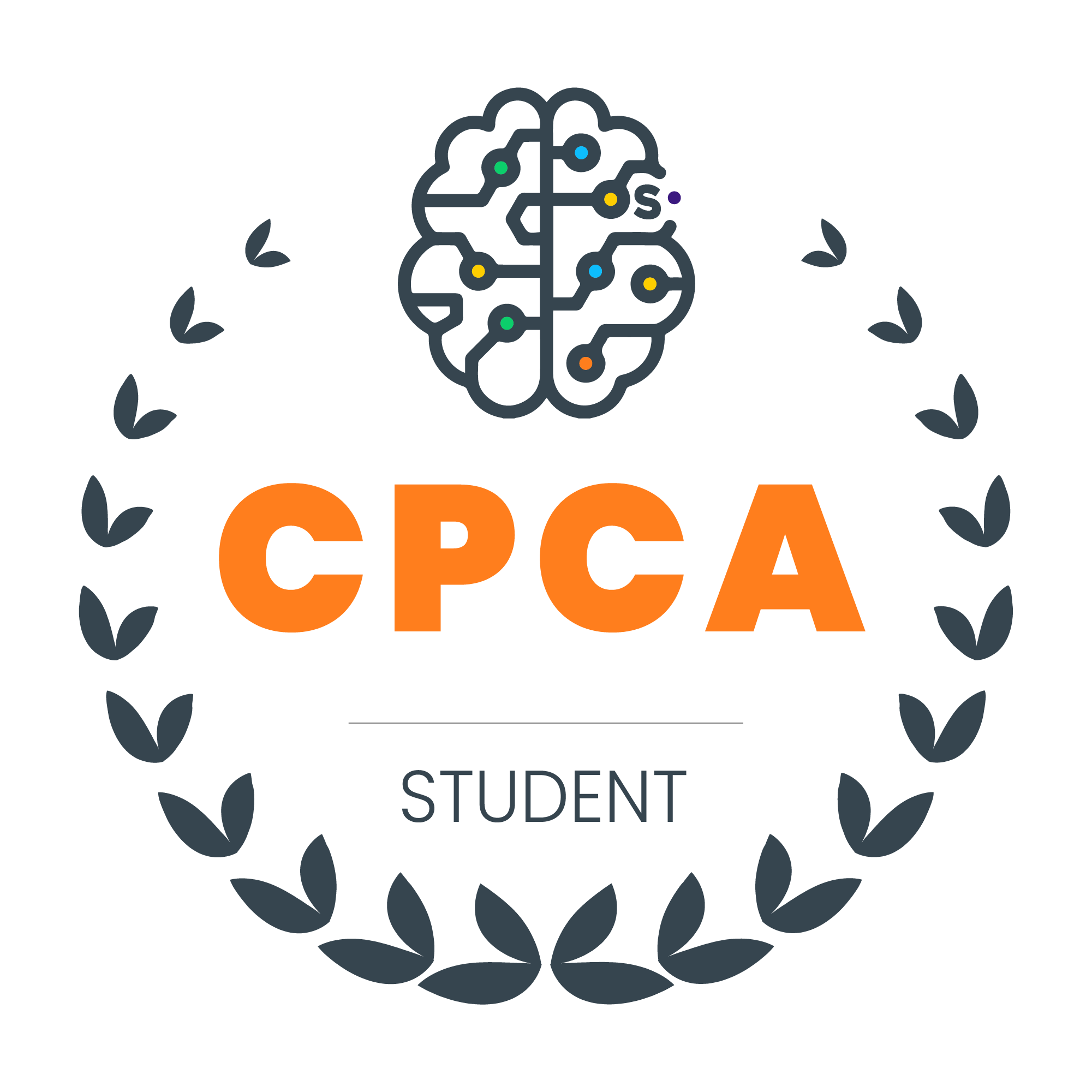CPCA, Level Student, Australian Association of Professional Counsellors